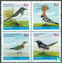 Vogels kopen