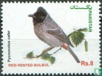 Vögel kaufen