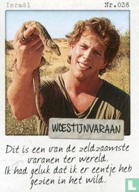 Israël - Woestijnvaraan