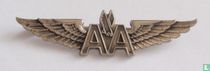 American Airlines wing (01)