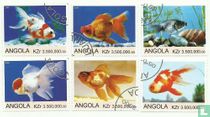 Goldfish for sale