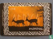 Africa - Mondial