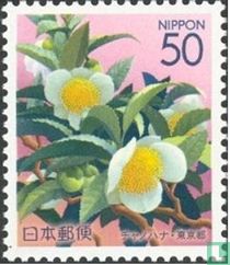 Fleurs