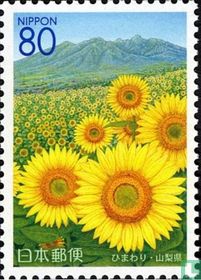 Flowers in Yamanashi