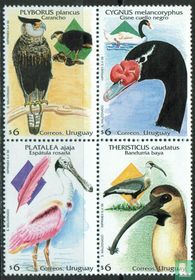 Native birds