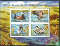 Oiseaux
