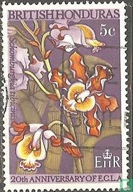 Blumen