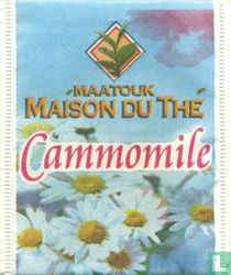 Cammomile
