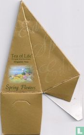 Spring Flowers