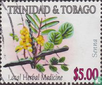 Plantes médicinales 