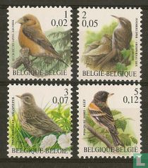 Vogels kopen