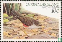 Oiseaux     