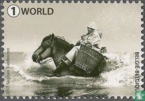 Garnaalvissers te paard kopen