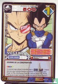 VEGETA KAME HOUSE (FR)