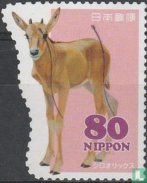 Les animaux du zoo