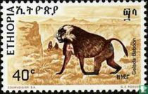 Animals