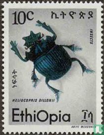 Insects