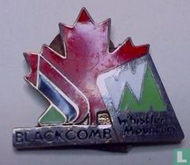Blackcomb Whistler Mountain - BC Canada