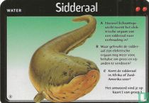 Sidderaal