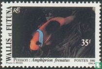 Animaux marins