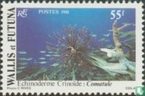 Marine animals
