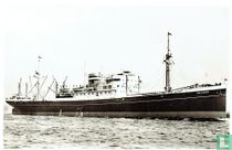 s.s. Dalerdijk - Holland Amerika Lijn