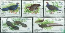 BirdLife Internationaal