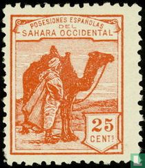 Native with dromedary 