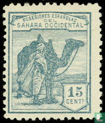 Native with dromedary 