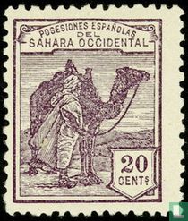 Native with dromedary  