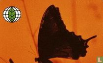 Deutsche Umwelthilfe - Schmetterling