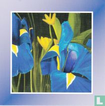 Bloemen: Iris