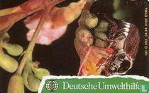 Deutsche Umwelthilfe : Maikäfer - Puzzle 2/2 