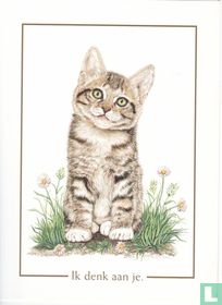 Dieren: Katten (HOK7019)