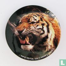 Tijger