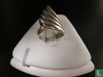Zilveren Ring, Fraai Ontwerp