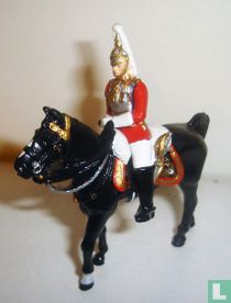 Colonel Rettungsschwimmer