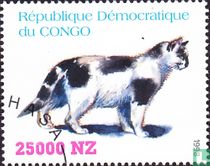 Chats 