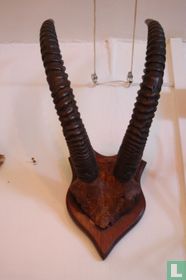 Horens van een bergeit