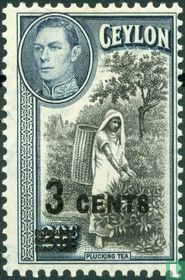 Tea picker with overprint
