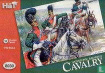 Bavarian Cavalry