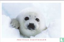 Dieren: Zeehond (3NJ2-NL2)