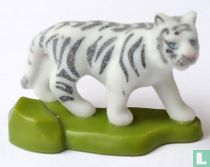 Tijger