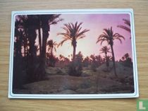 Maroc Typique, coucher de soleil
