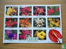 Fleurs