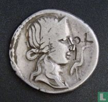 Romeinse Rijk, AR Denarius, 81 BC, gens Titia, Iberian mint