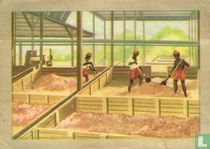 Het gisten in de fabriek for sale