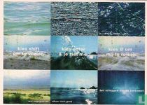 A000466 - CollegeCards-CJP Ontwerpwedstrijd: Roos Schuring