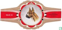 Boxer