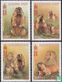 Mongolian Marmot